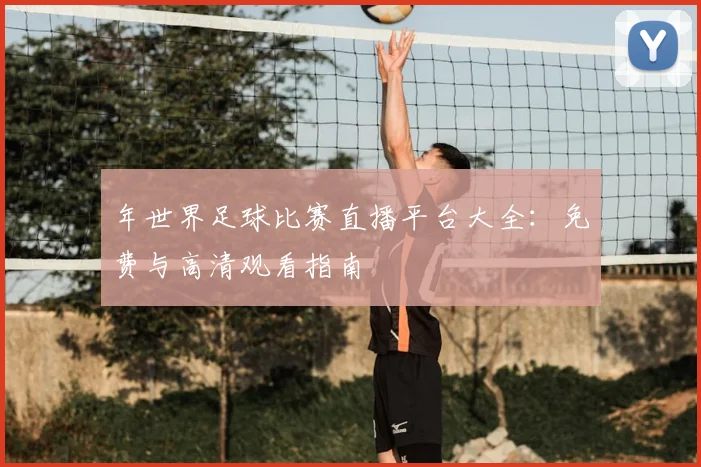 年世界足球比赛直播平台大全：免费与高清观看指南