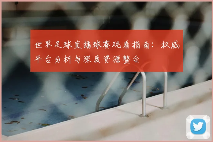 世界足球直播球赛观看指南：权威平台分析与深度资源整合