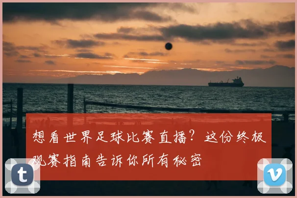 想看世界足球比赛直播？这份终极观赛指南告诉你所有秘密